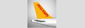 Pegasus Kargo Takip Logo