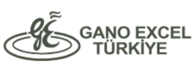 Gano Excel Kargo Takip Logo