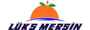 Lüks Mersin Otobüs Takip Logo