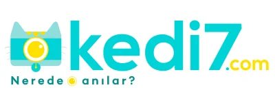 Kedi7 Kargo Takip Logo